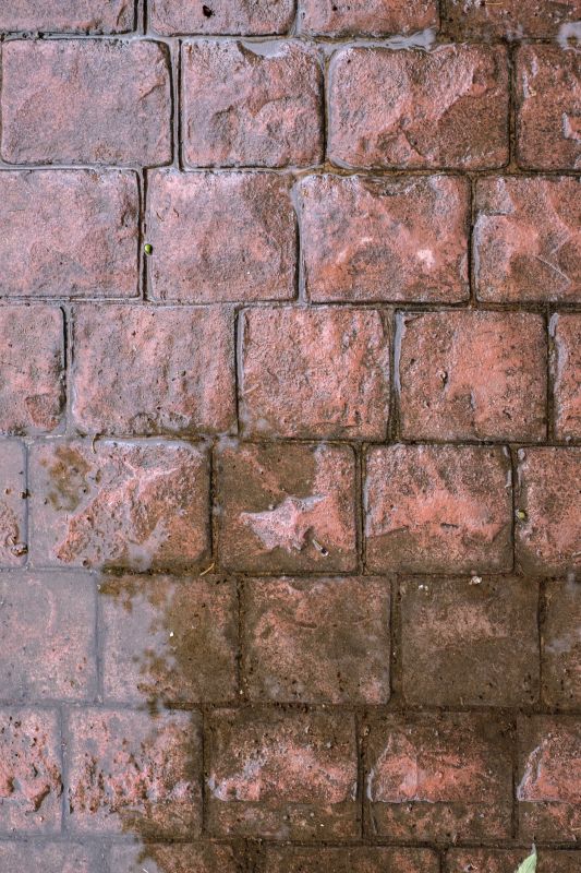 Decorative Concrete Repair in Arlington, VA