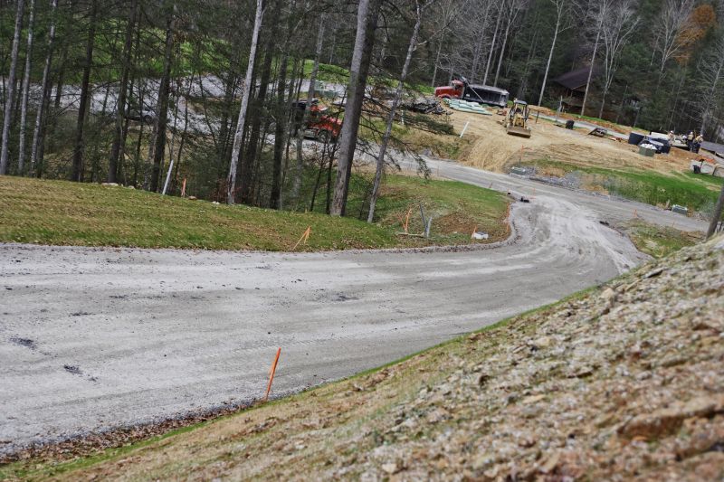 Fall Staining Conditions